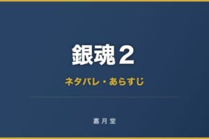 銀魂 掟は破るためにこそある ネタバレ